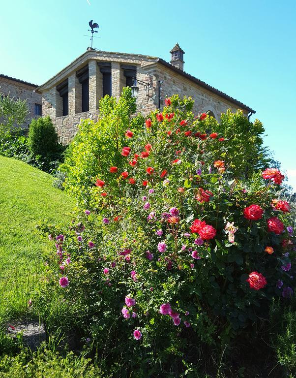 Podere Cunina Villa Buonconvento Exterior photo